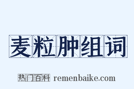 麦粒肿组词是什么意思的图片